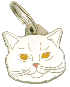 British Shorthair blanco - Placa grabada, placas identificativas para gatos grabadas MjavHov.